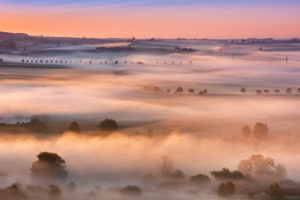 Kulturlandschaft bei Sonnenaufgang, Morgennebel leuchtet im ersten Licht, Unstruttal, Freyburg (Unstrut), Sachsen-Anhalt, Deutschland Kulturlandschaft bei Sonnenaufgang, Morgennebel leuchtet im ersten Licht, Unstruttal, Freyburg (Unstrut), Sachsen-Anhalt, Deutschland